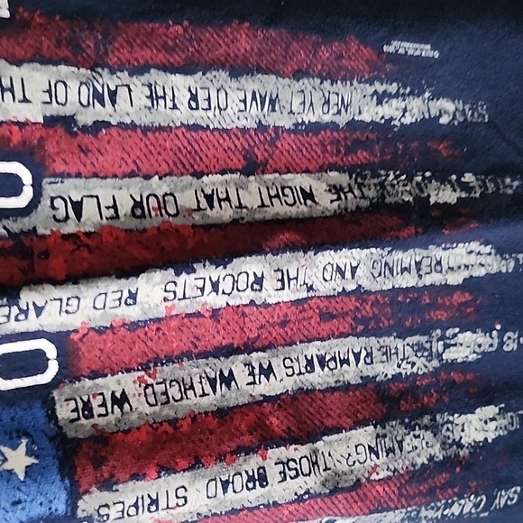 Delta Pro Weight "Stand Proud" navy blue tee with red, white, & blue graphics - Picture 3 of 11